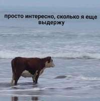 1756103374020.jpg