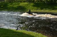 DSC0711.JPG