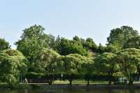 DSC0742.JPG
