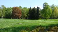 MoscowBotanicalGardenofAcademyofSciences3.jpg