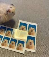 17504015773640.jpg