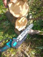 IMG20250809124749602.jpg