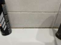 IMG6356.jpeg