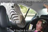 17501364762633.jpg