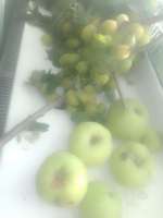 IMG20250804175416.jpg