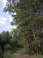 IMG20250802161551.jpg