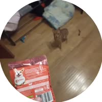 1753659290317.mp4