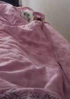 video2025-08-0216-54-03.mp4