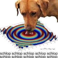 17573325239390.jpg
