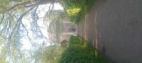 IMG20250508175500HDR.jpg