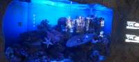 IMG20250510195243HDR.jpg