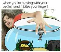15361394502270.jpg