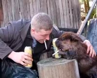 Бобр.webm