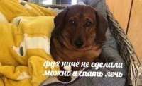 -пРиКоЛы-ДлЯ-дАуНоВ-разное-9036046.jpeg