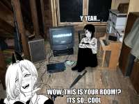 httpspbs.twimg.commediaE8yv2kwX0AATTRD.jpg
