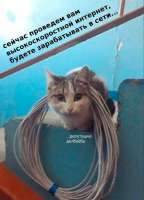 zarabotok v seti.jpg