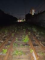 20250607233300.jpg
