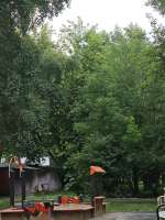 1000207010.jpeg
