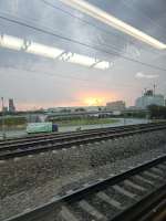 1000207057.jpeg