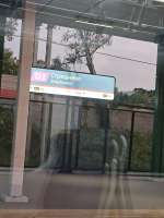1000207063.jpeg