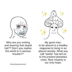 17388711757552.jpg