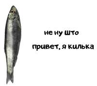 image(2).png