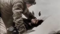 17453132319241.webm
