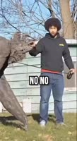 2.mp4