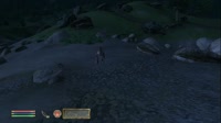 0.mp4