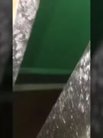 долбоёб-и-пидарас.webm