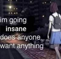 1750360435055.jpg