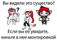 1750881488684.jpg