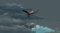 1751151831818.mp4