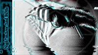 1751249409686.mp4