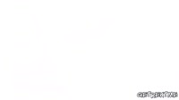 1753402437862.mp4