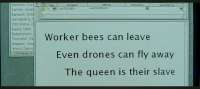 1754027642061.jpg