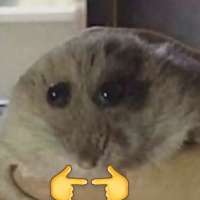 17358463854140.jpg