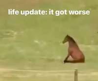 39f56bc0c514386233e094f1585e77f8.jpg