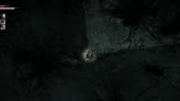 Darkwood 2025-07-18 16-05-15-572.jpg