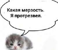 images (4).jpeg