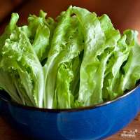 salatcezarklassicheskii-44700.jpg