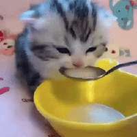 17541846294150.gif