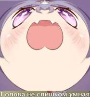 17554468071840.png