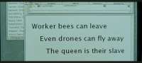 .jpg