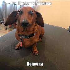 images (2).jpeg