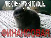 bc0be77f6cb722eb3fe7831ac24dea8a.jpg