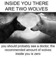 5e8.jpg