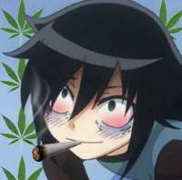 image (20).png