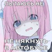 17526610236552.jpg
