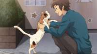 anime-the-melancholy-of-haruhi-suzumiya-kyon-haruhi-shamisen-haruhi-wallpaper-4960b8ed41aa4dbbb6b718cff0d1e61d.jpg